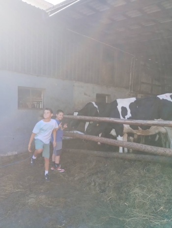 547269768_1387182710079076_901343316197503578_n