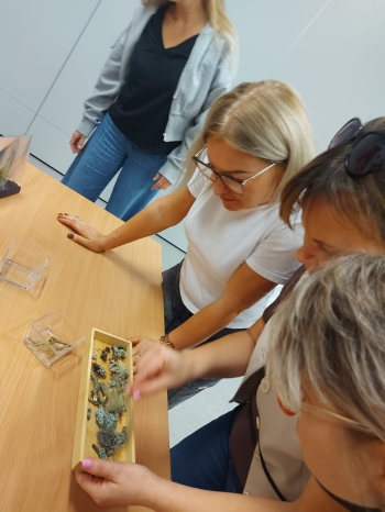 555814161_1401948735269140_3144286766507318197_n