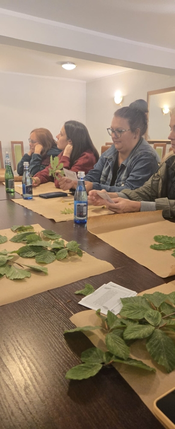 555900135_1401948755269138_7427826868286879752_n