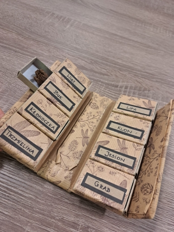 554927529_1401948938602453_2126985793589439253_n