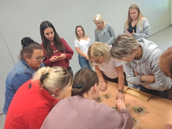 556322513_1401948945269119_7726431429381412351_n