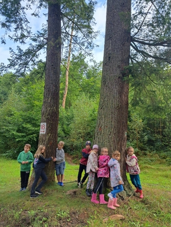 554720932_1401331755330838_1342386921220094723_n