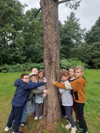 555509784_1401333458664001_323791916907420727_n