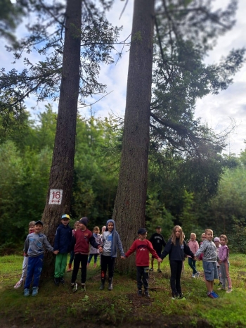 555594679_1401332578664089_959844964681037492_n