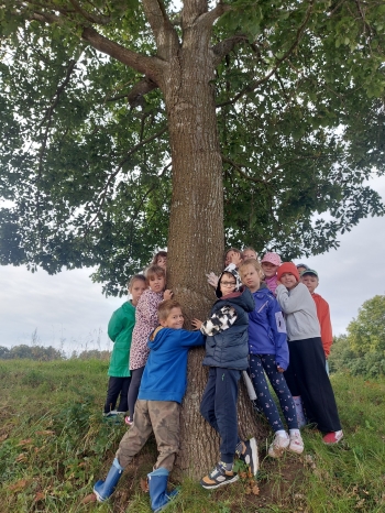 555709875_1401333715330642_1017708904809129225_n