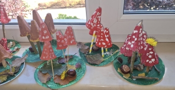 566370988_1427001562763857_1423256720130324625_n