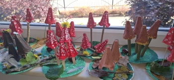 570700299_1427001482763865_2371463207729019798_n