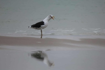 569391178_1428103719320308_1727306282570193160_n