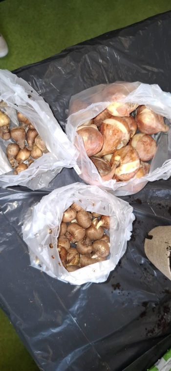 575111264_1439643241499689_588224034079771047_n