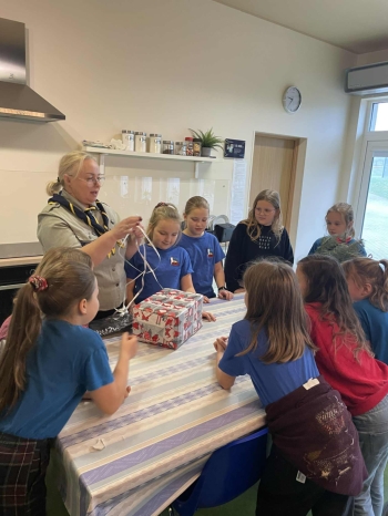 WhatsApp Image 2026-02-13 at 11.09.11 (1).jpeg