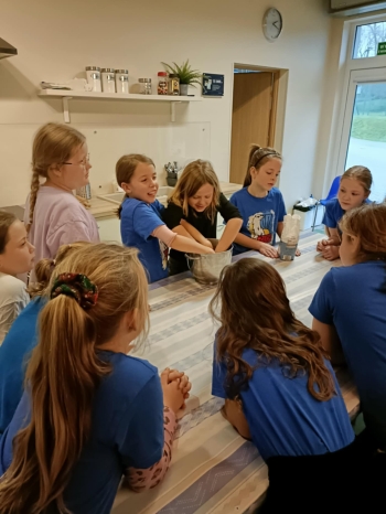 WhatsApp Image 2026-02-13 at 11.09.13 (1).jpeg