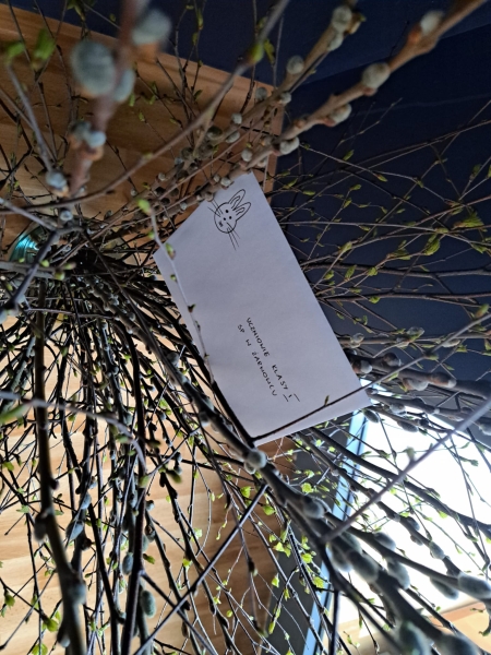 𝐏𝐑𝐙𝐘𝐆𝐎𝐃𝐀 𝐙 𝐙𝐀𝐉𝐀̨𝐂𝐙𝐊𝐈𝐄𝐌 𝐖𝐈𝐄𝐋𝐊𝐀𝐍𝐎𝐂𝐍𝐘𝐌 🐰