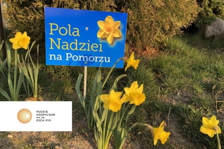 🌼 POLA NADZIEI – finał akcji 🌼